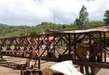 Provincia construye un puente Bailey de Los Toldos
