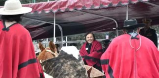 Sáenz en los homenajes a Güemes: “Debemos tomar su ejemplo y defender los intereses de la Patria y de los salteños”